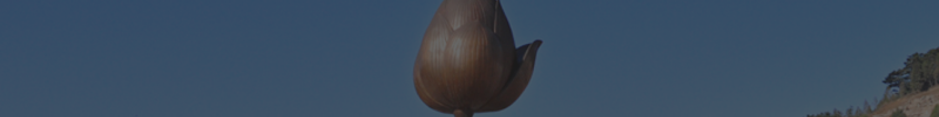 卧龙公墓官网顶部背景图