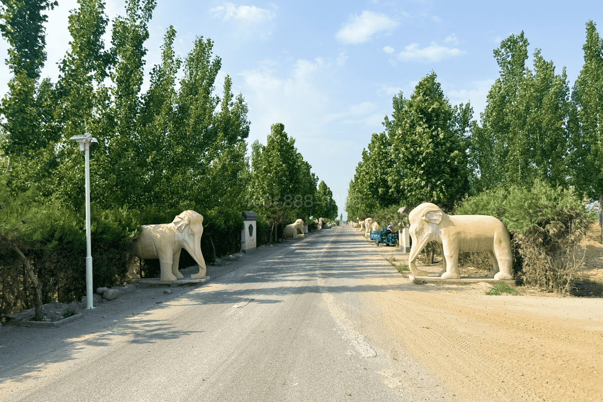 卧龙公墓环境图